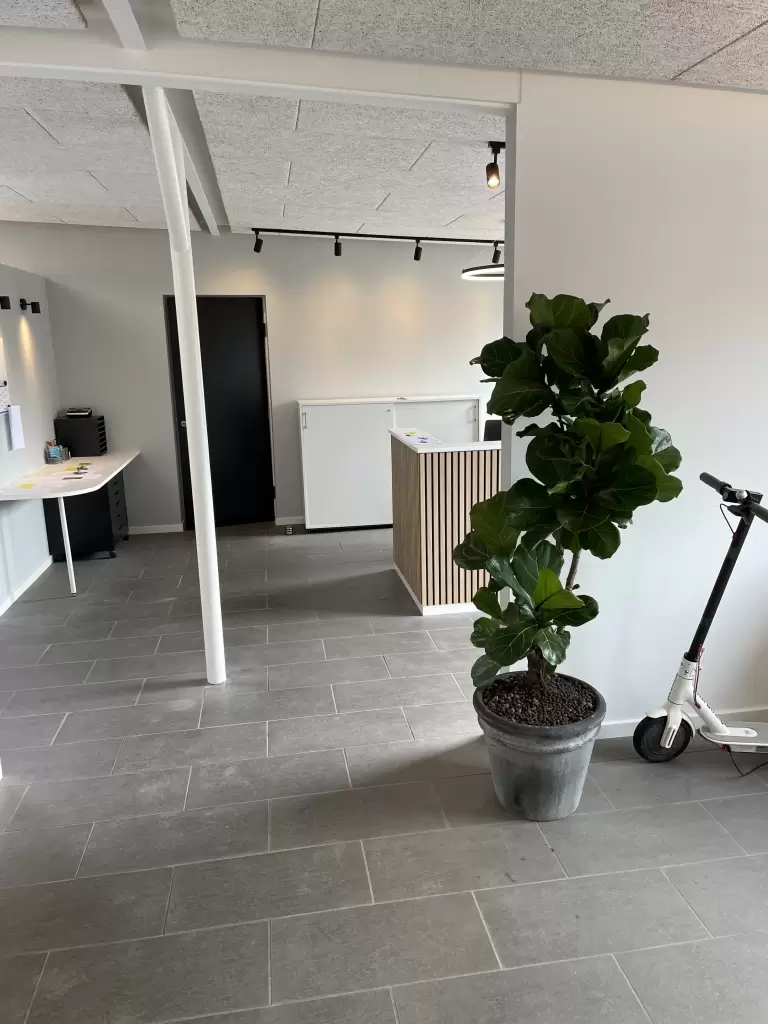 Forgrenet Violinfigen