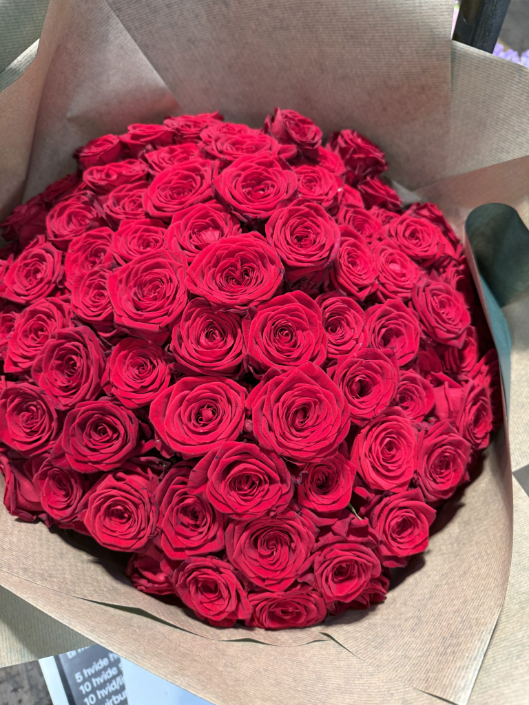 100 røde roser